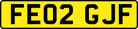 FE02GJF