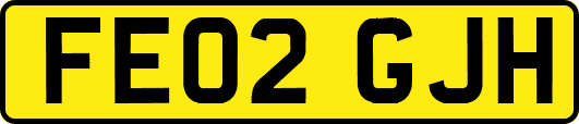 FE02GJH