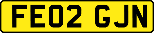 FE02GJN