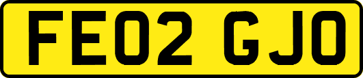 FE02GJO