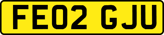 FE02GJU