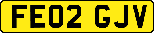 FE02GJV