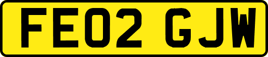 FE02GJW