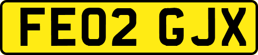 FE02GJX