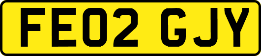 FE02GJY