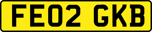 FE02GKB