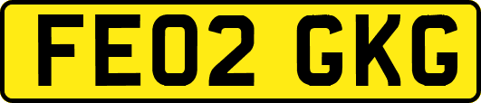 FE02GKG