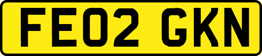 FE02GKN