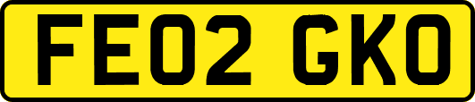 FE02GKO