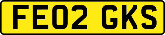 FE02GKS