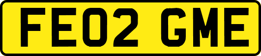FE02GME