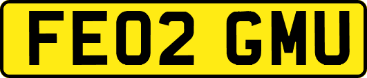 FE02GMU