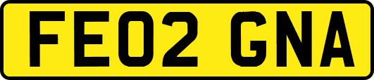 FE02GNA