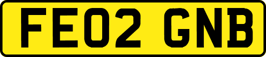 FE02GNB