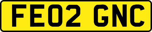 FE02GNC