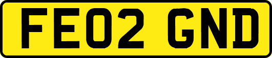 FE02GND