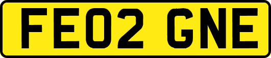 FE02GNE