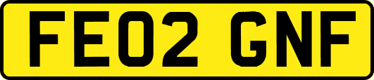 FE02GNF