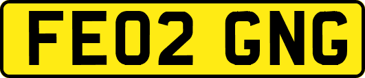 FE02GNG