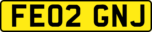 FE02GNJ
