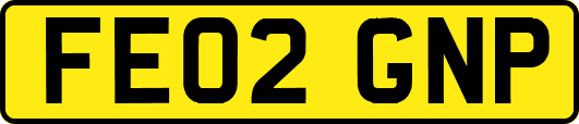 FE02GNP