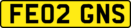 FE02GNS