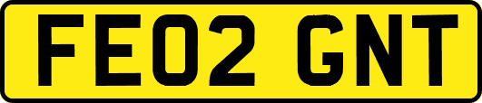 FE02GNT