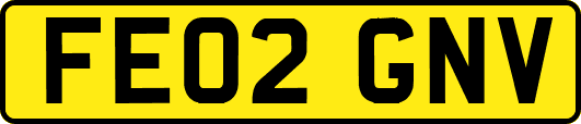 FE02GNV