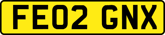 FE02GNX