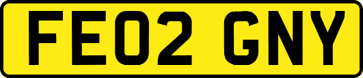 FE02GNY
