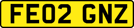 FE02GNZ