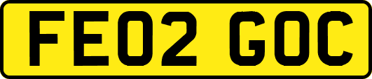 FE02GOC