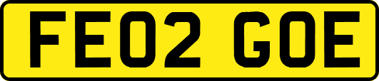 FE02GOE