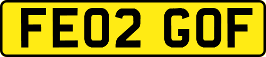 FE02GOF