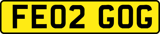 FE02GOG