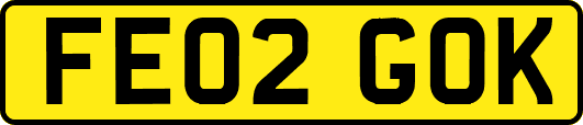 FE02GOK