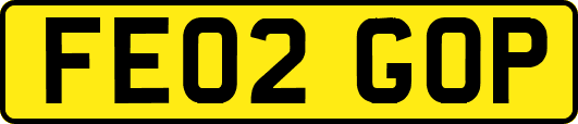 FE02GOP