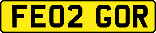 FE02GOR