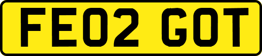 FE02GOT
