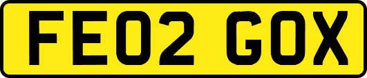 FE02GOX