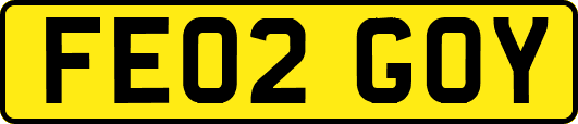 FE02GOY