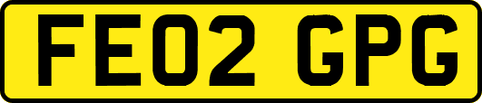 FE02GPG