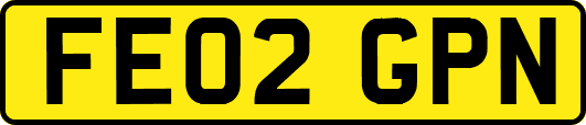 FE02GPN