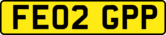 FE02GPP