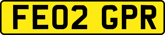 FE02GPR