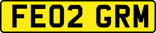 FE02GRM