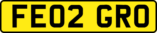 FE02GRO