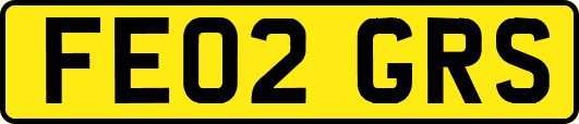 FE02GRS