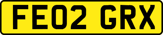 FE02GRX