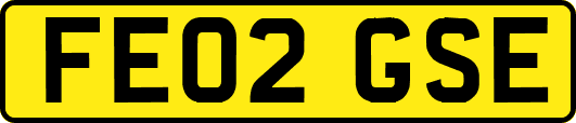 FE02GSE